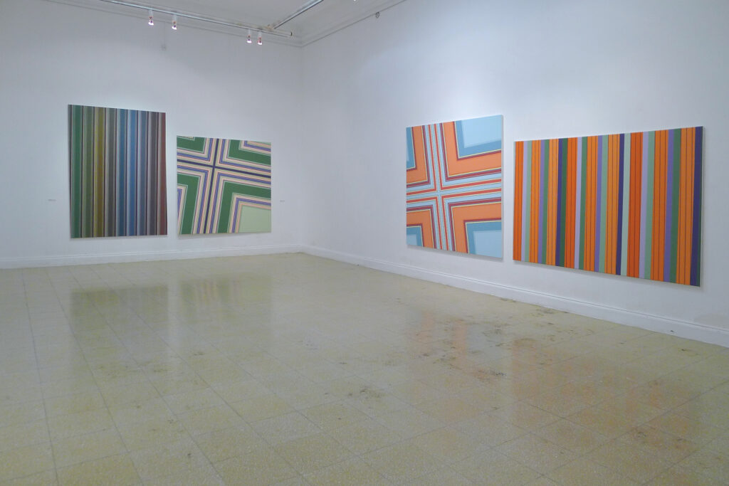 4_Verónica Di Toro_Lo que persiste_MPBA Galisteo_2011