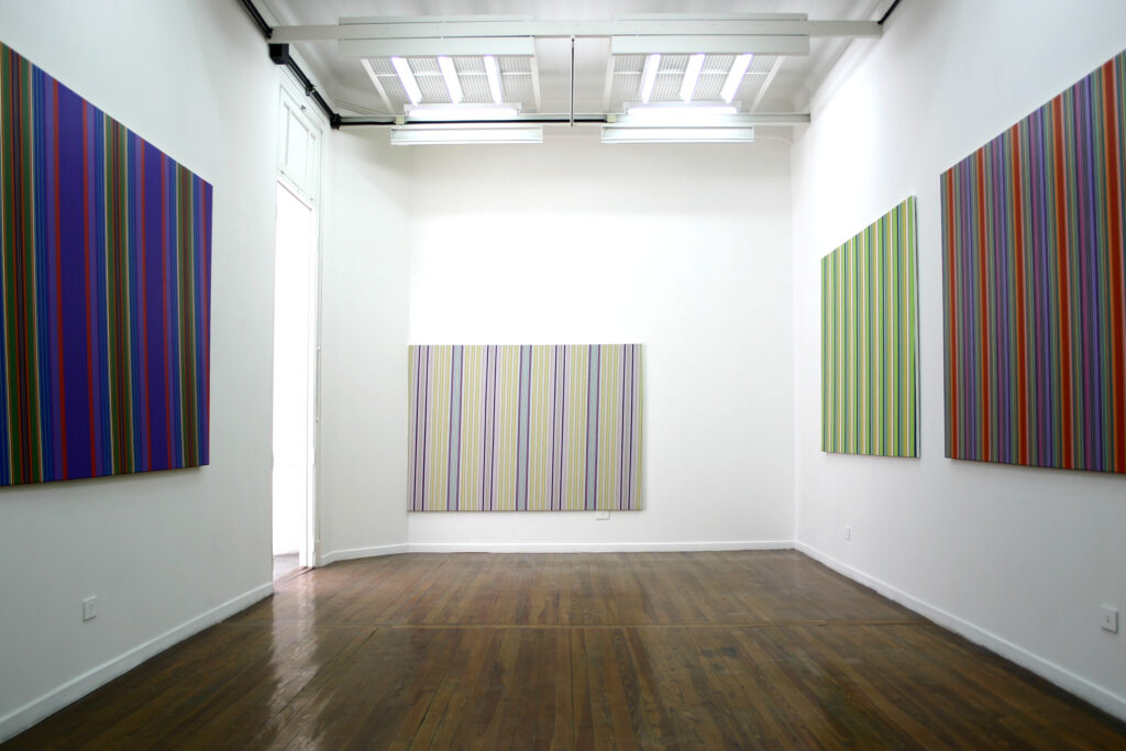 Verónica Di Toro_Cuál_Galería Alberto Sendrós_2005_3