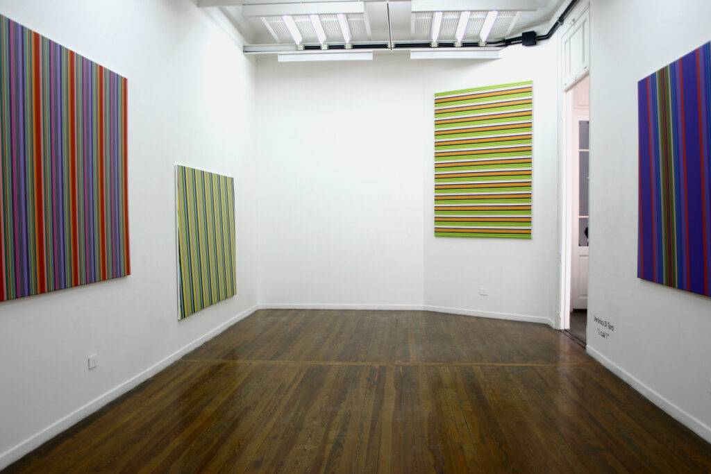 Verónica Di Toro_Cuál_Galería Alberto Sendrós_2005_4