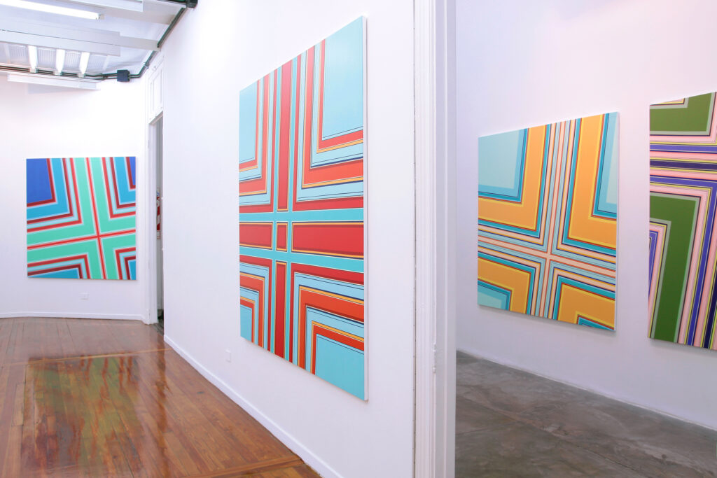 Verónica Di Toro_Fuerzas Intensivas_Galería Alberto Sendrós_Bs As_2010_2