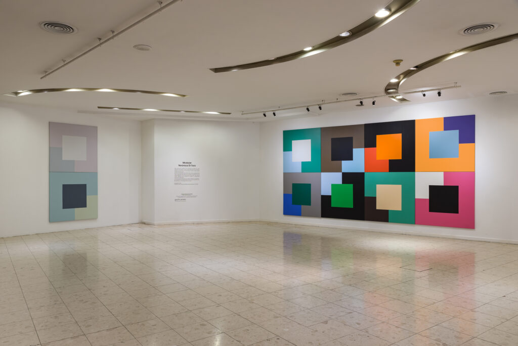 Verónica Di Toro_Modular_2019_CCBorges2