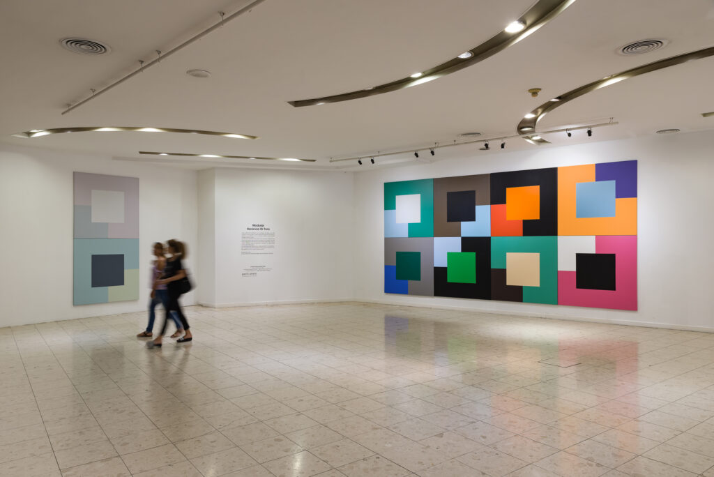 Verónica Di Toro_Modular_2019_CCBorges4